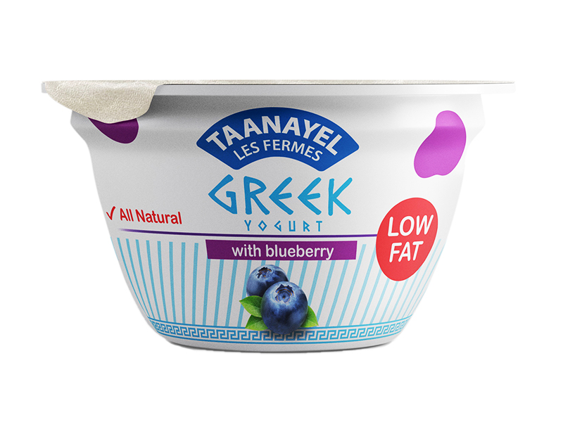 Greek Yogurt Blueberry Low Fat 150g Minbaladeh.world