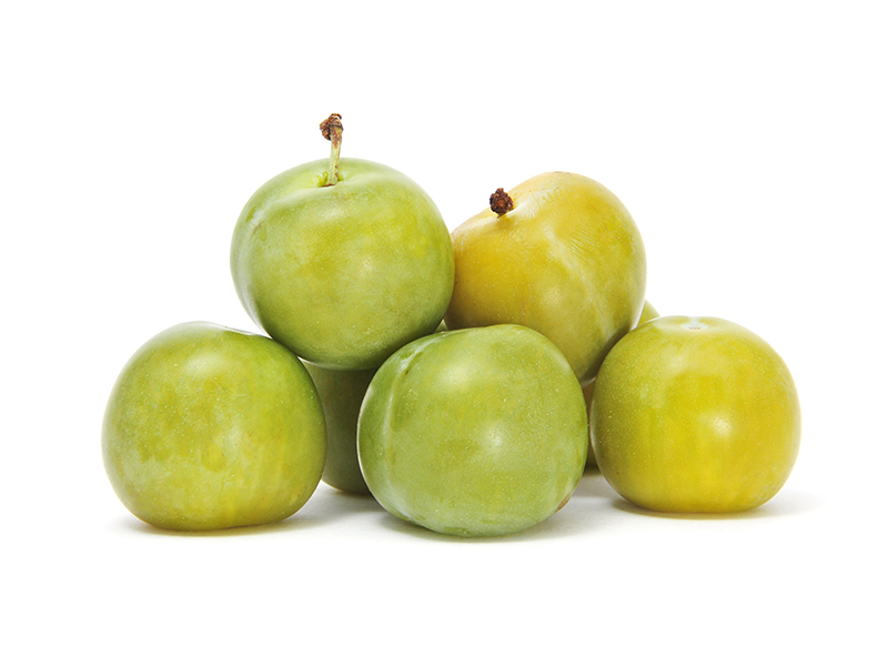 Plum White | Pack of 500g - Minbaladeh.world